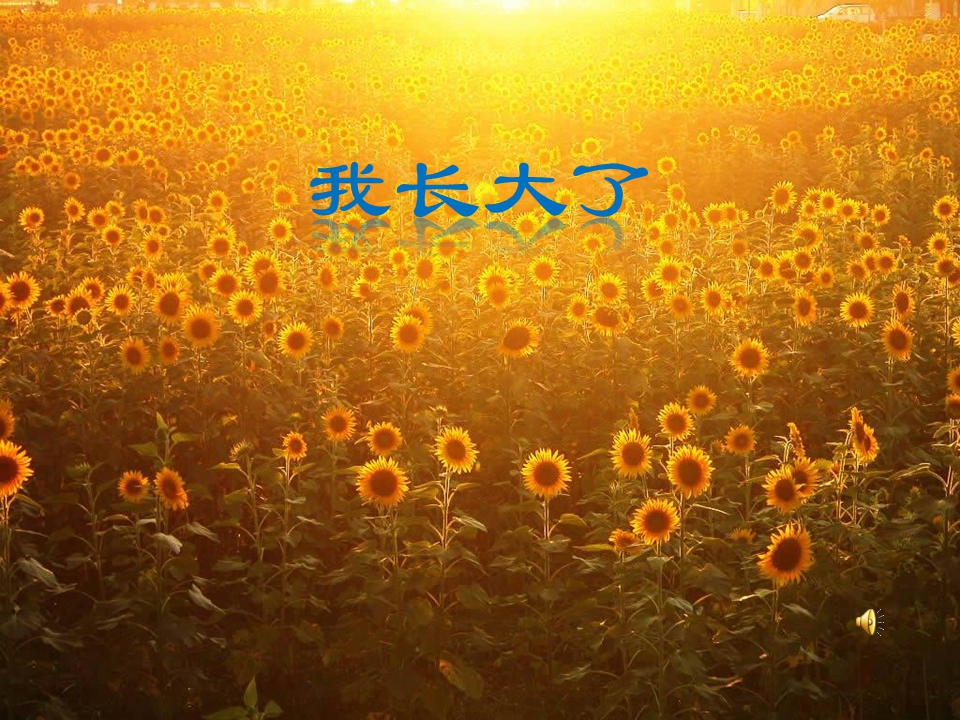 大班社会《我长大了》