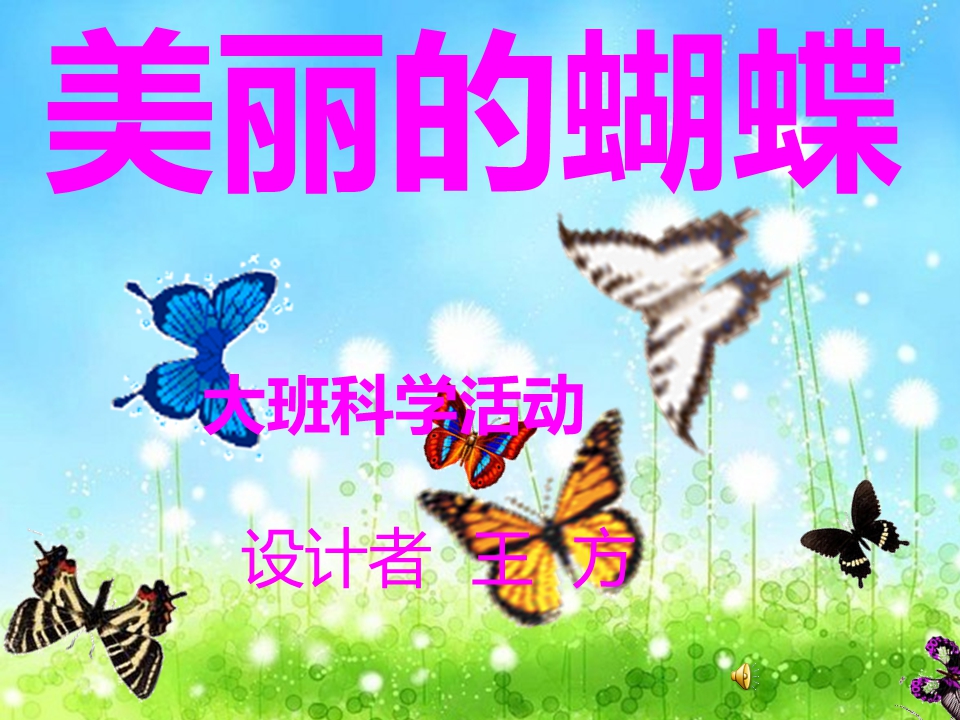 大班科学课件（ppt）：美丽的蝴蝶
