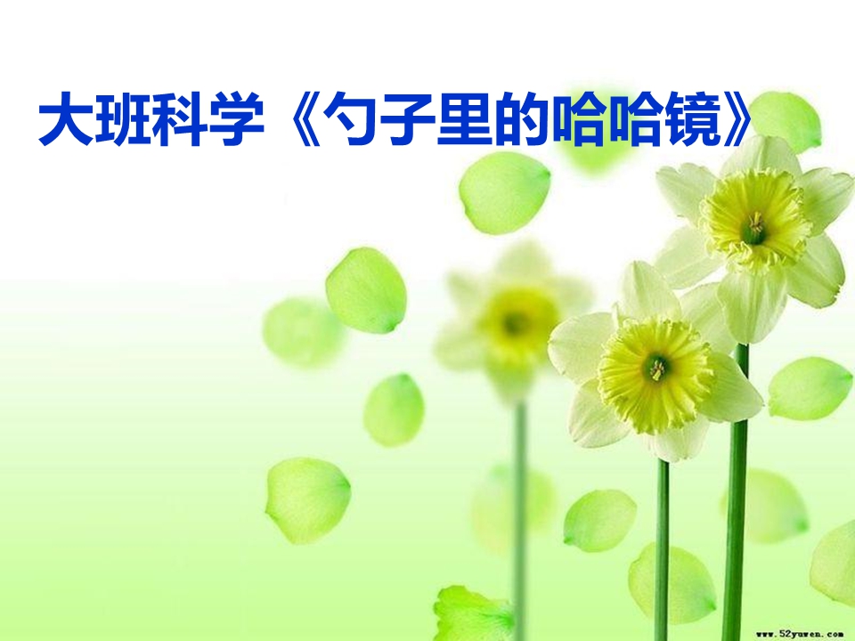 大班科学课件：《勺子里的哈哈镜》