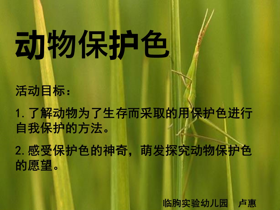 大班科学课件：动物保护色