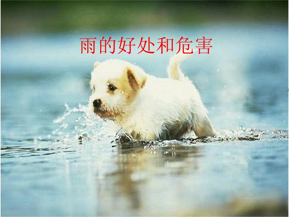 大班科学课件：雨的好处和危害（ppt）