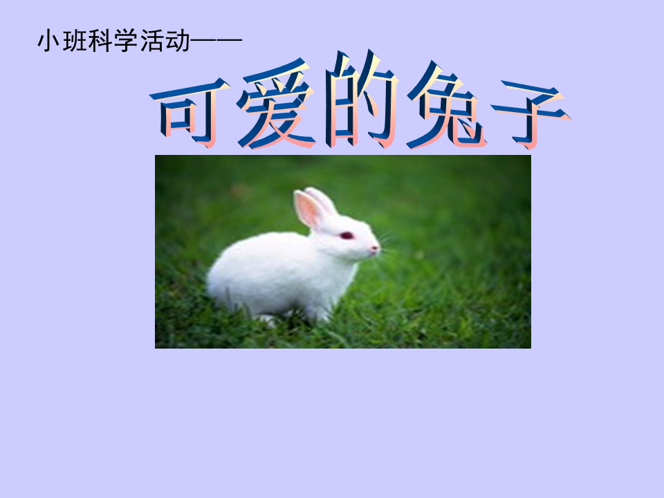 小班科学课件：《可爱的兔子》